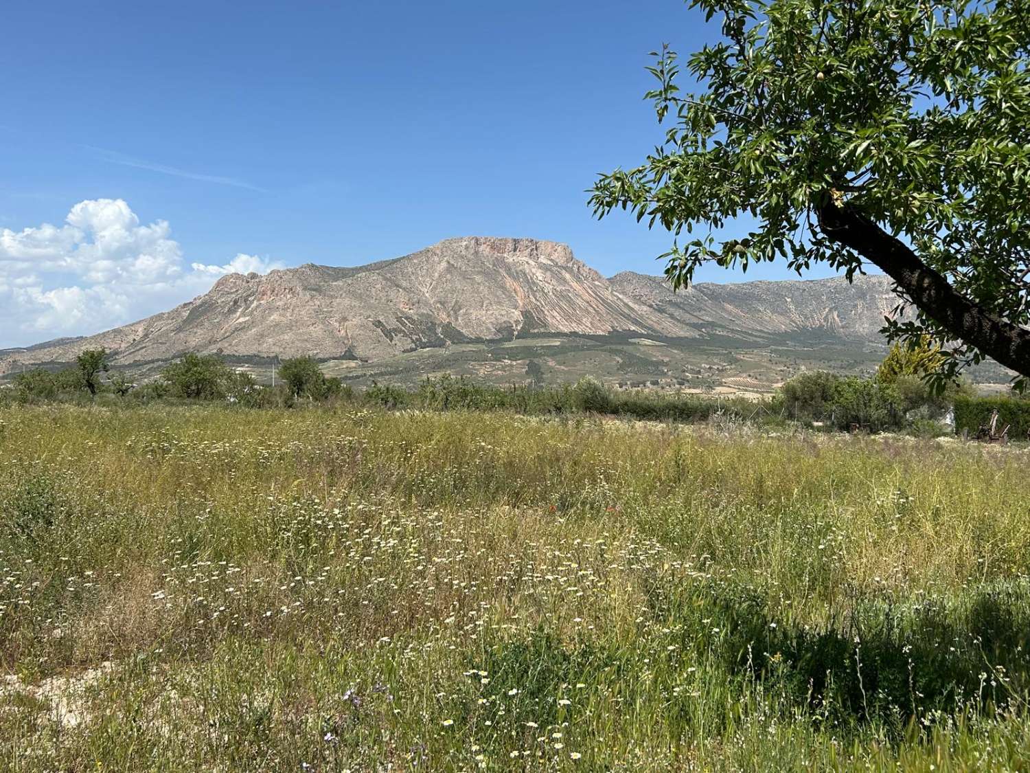 An Exceptional Country Estate in the Heart of Andalucía,  7 Beds, 4 baths, 2 Pools