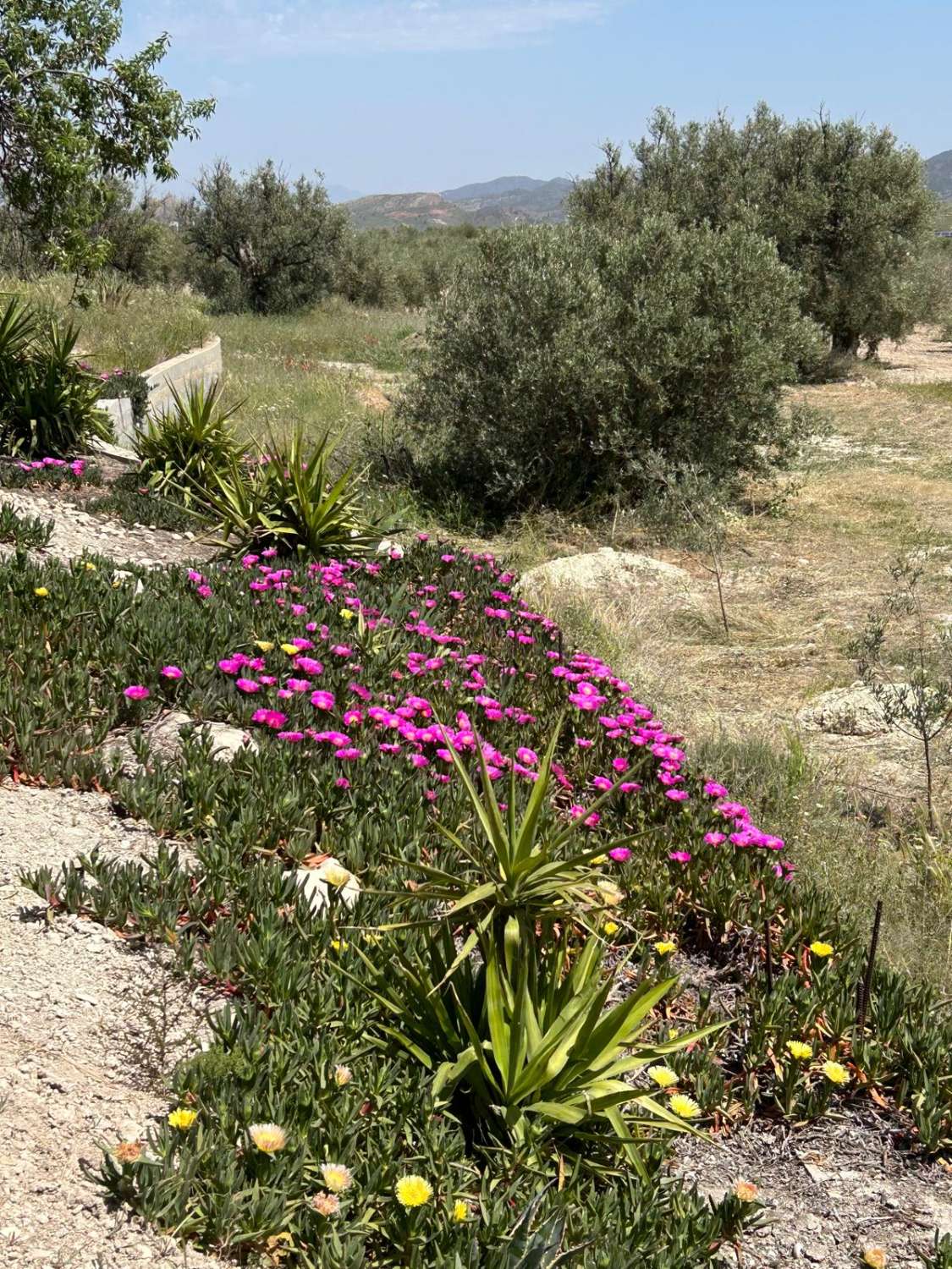 An Exceptional Country Estate in the Heart of Andalucía,  7 Beds, 4 baths, 2 Pools
