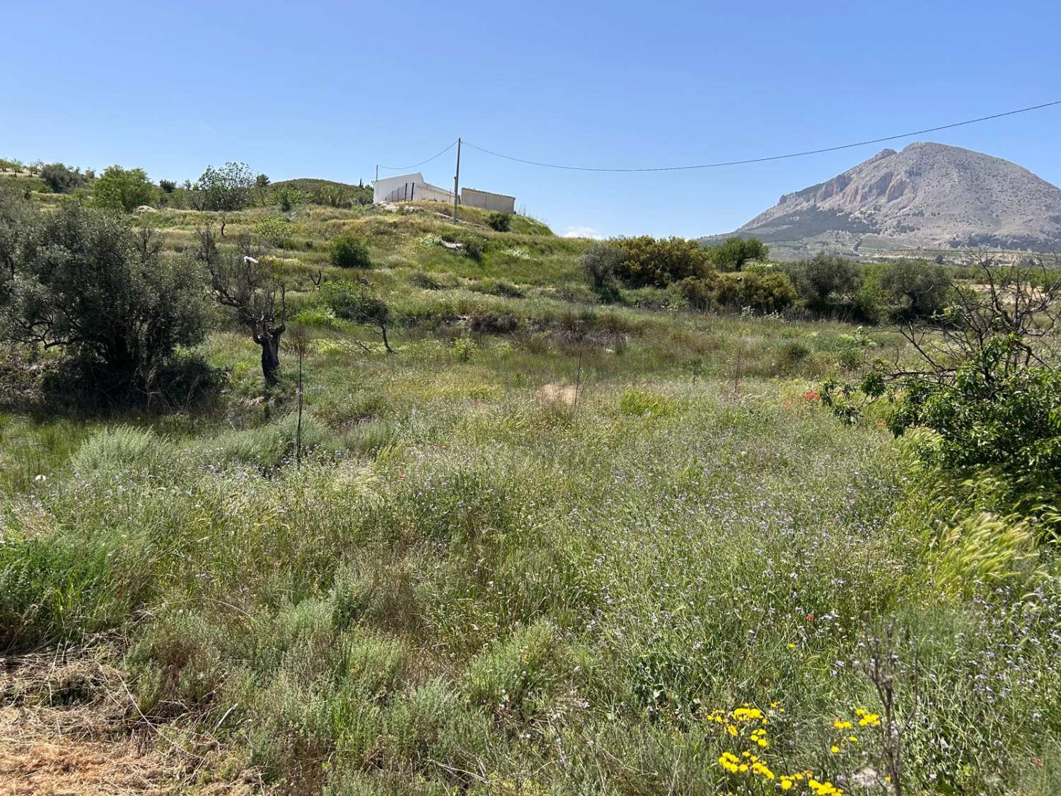 An Exceptional Country Estate in the Heart of Andalucía,  7 Beds, 4 baths, 2 Pools