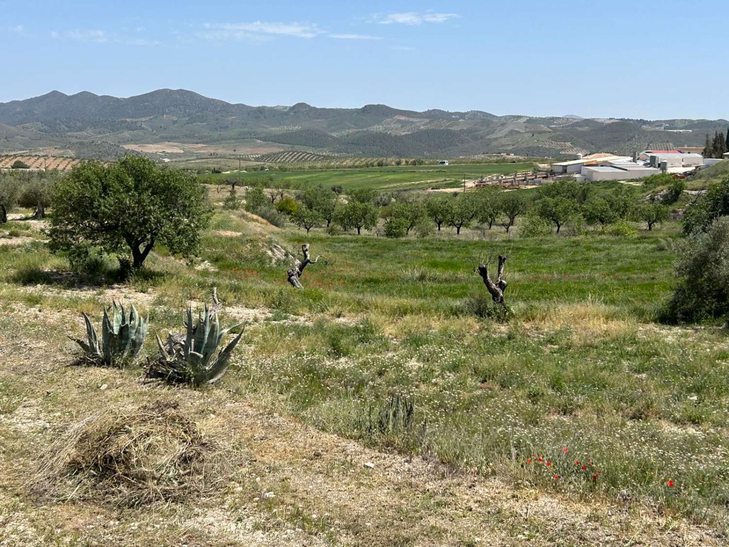 An Exceptional Country Estate in the Heart of Andalucía,  7 Beds, 4 baths, 2 Pools