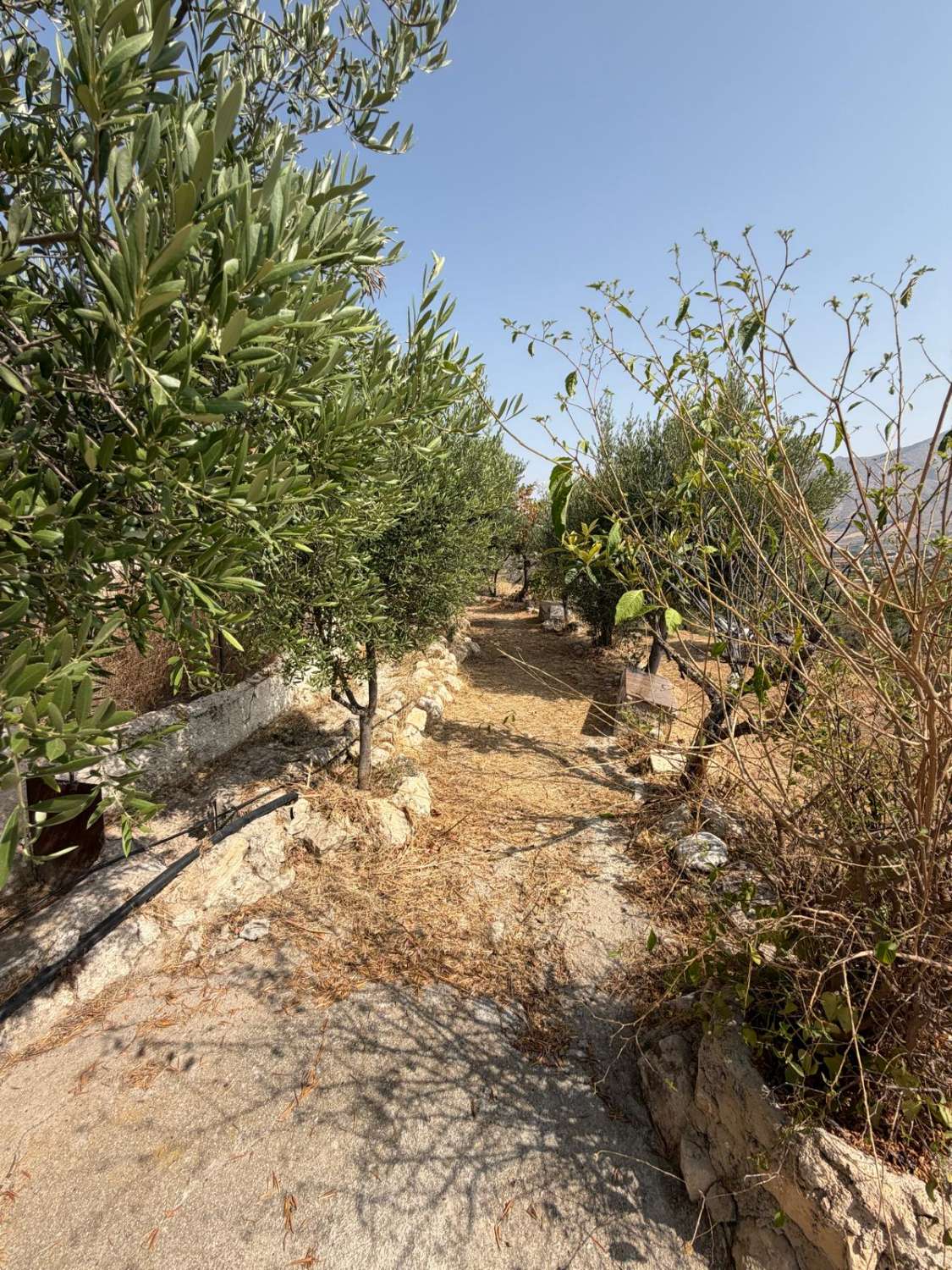 Traditional Spanish Cortijo with Guest Cortijo, Swimming Pool, Extensive Land & Spectacular 360° Mountain Views