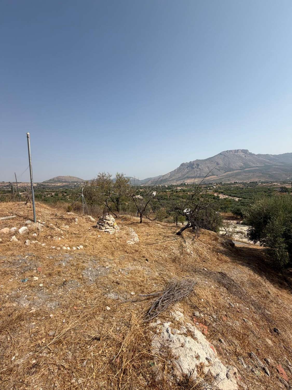 Traditional Spanish Cortijo with Guest Cortijo, Swimming Pool, Extensive Land & Spectacular 360° Mountain Views