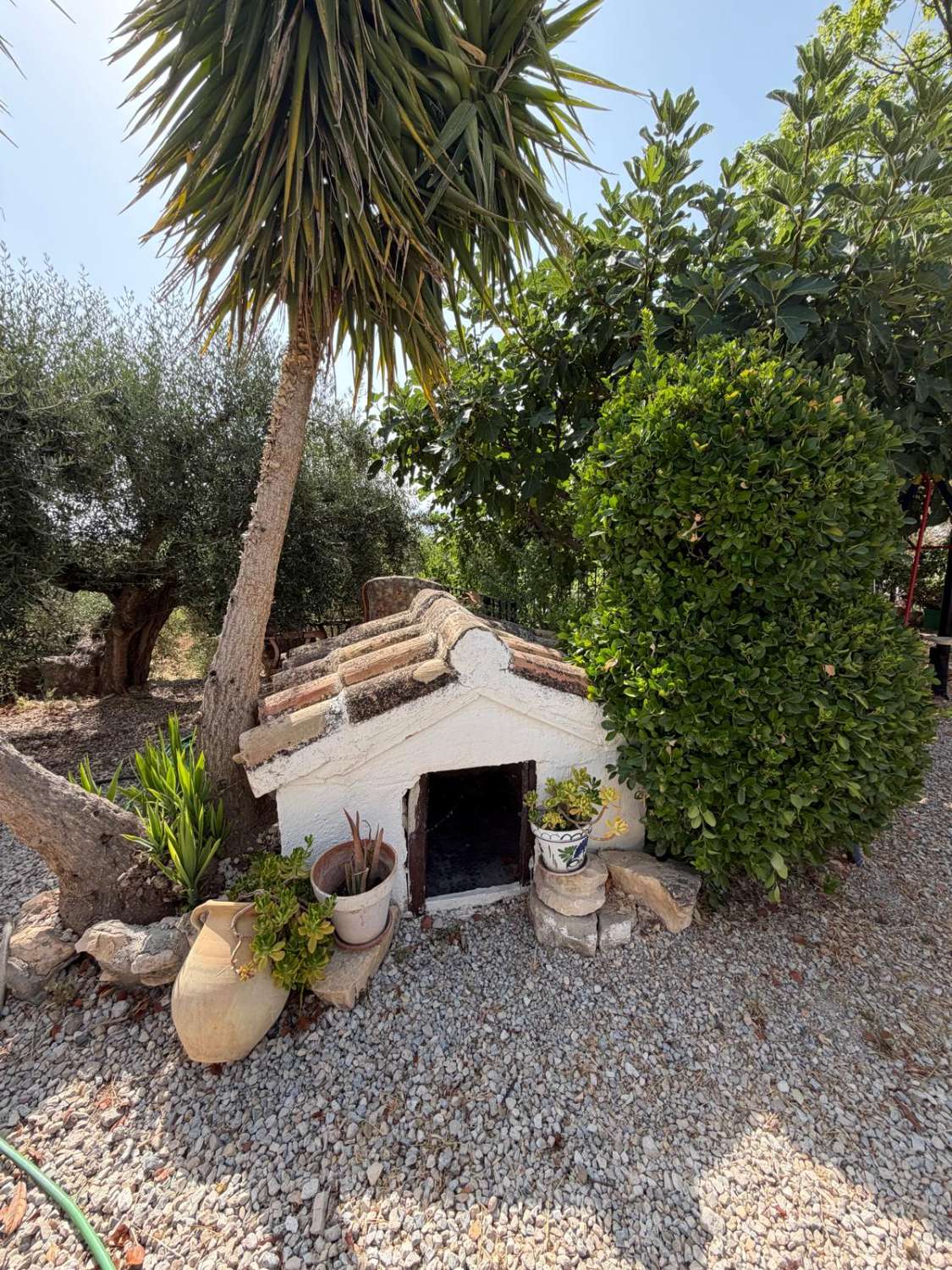 Traditional Spanish Cortijo with Guest Cortijo, Swimming Pool, Extensive Land & Spectacular 360° Mountain Views