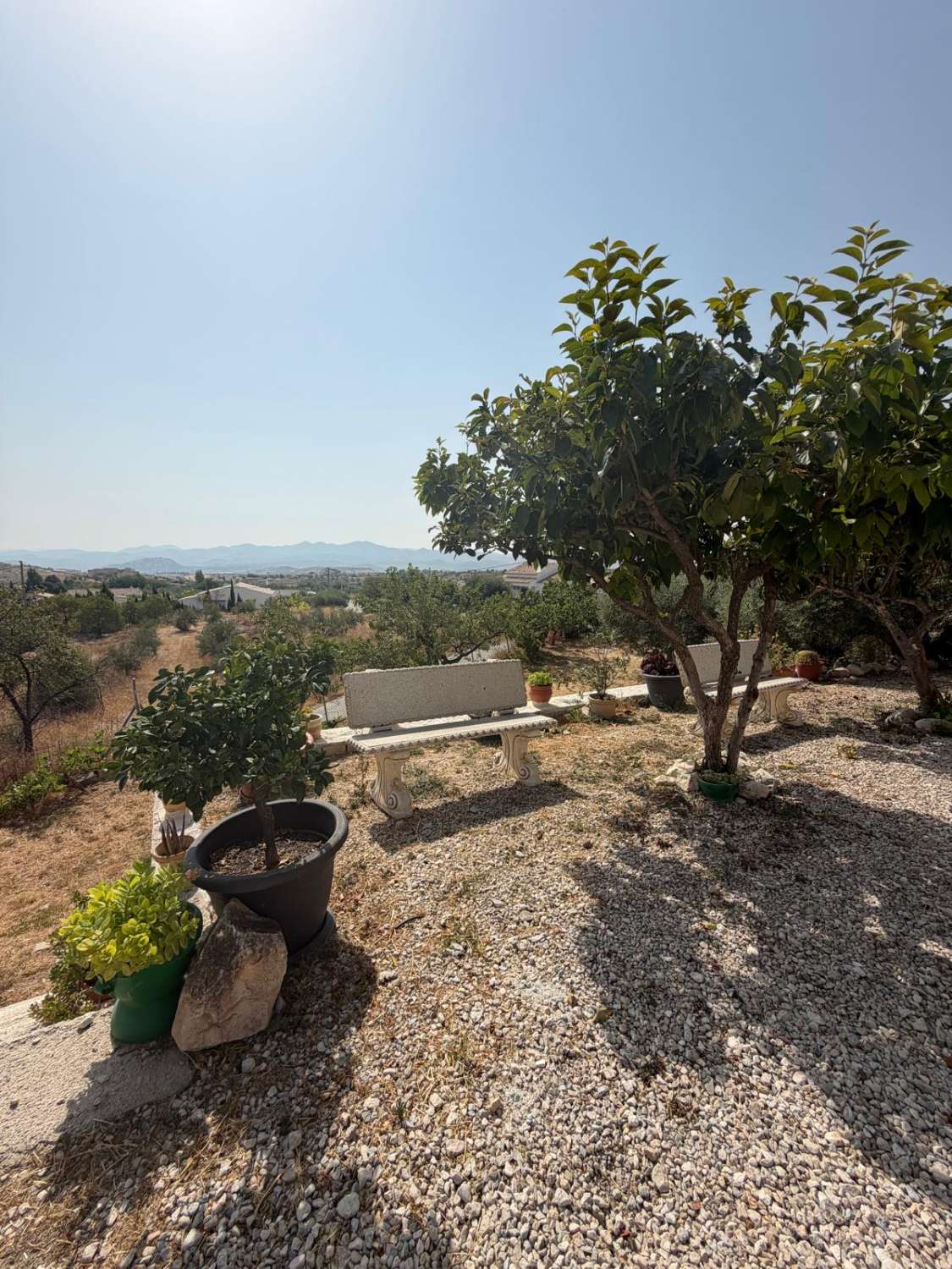 Traditional Spanish Cortijo with Guest Cortijo, Swimming Pool, Extensive Land & Spectacular 360° Mountain Views