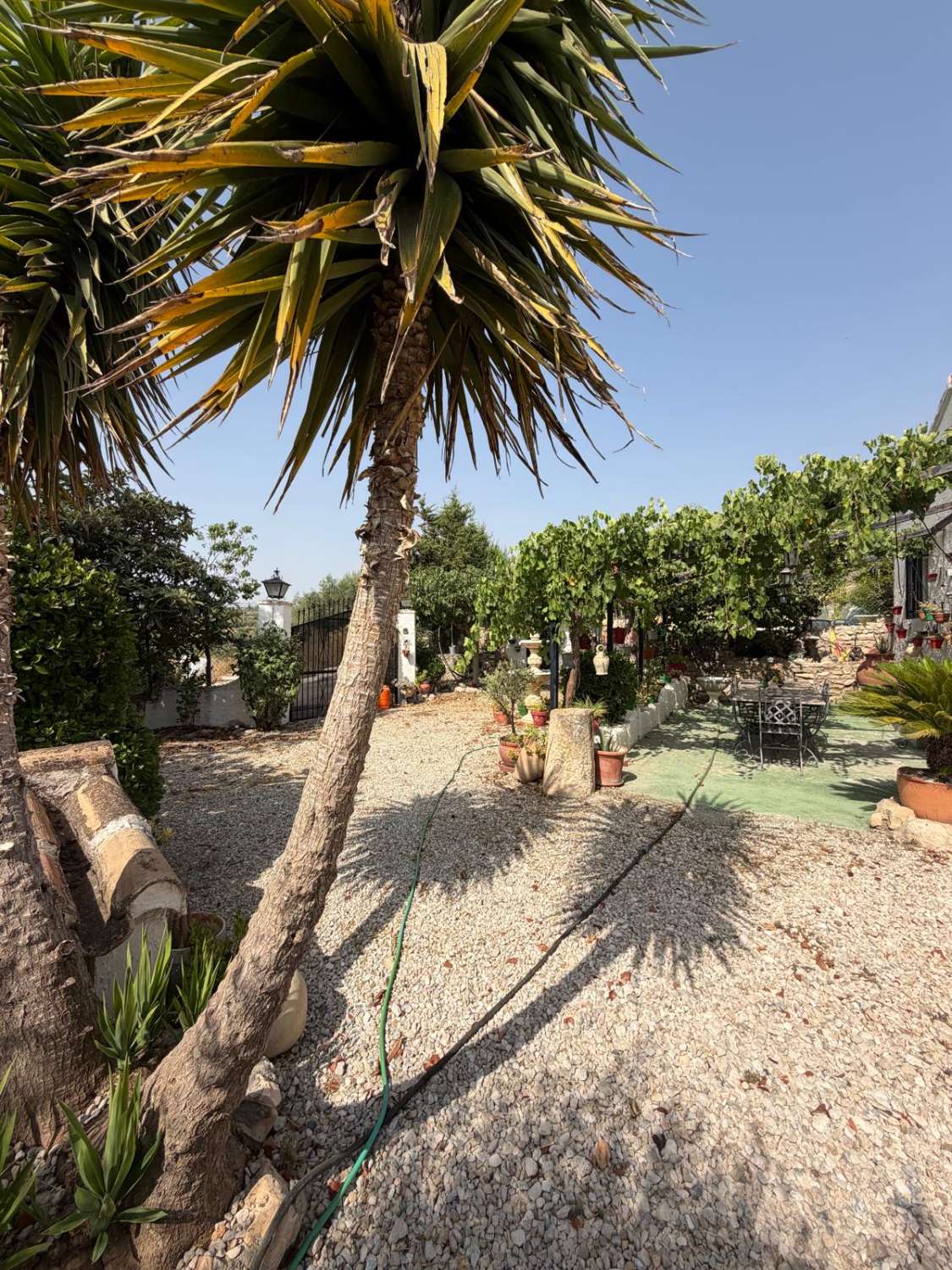 Traditional Spanish Cortijo with Guest Cortijo, Swimming Pool, Extensive Land & Spectacular 360° Mountain Views