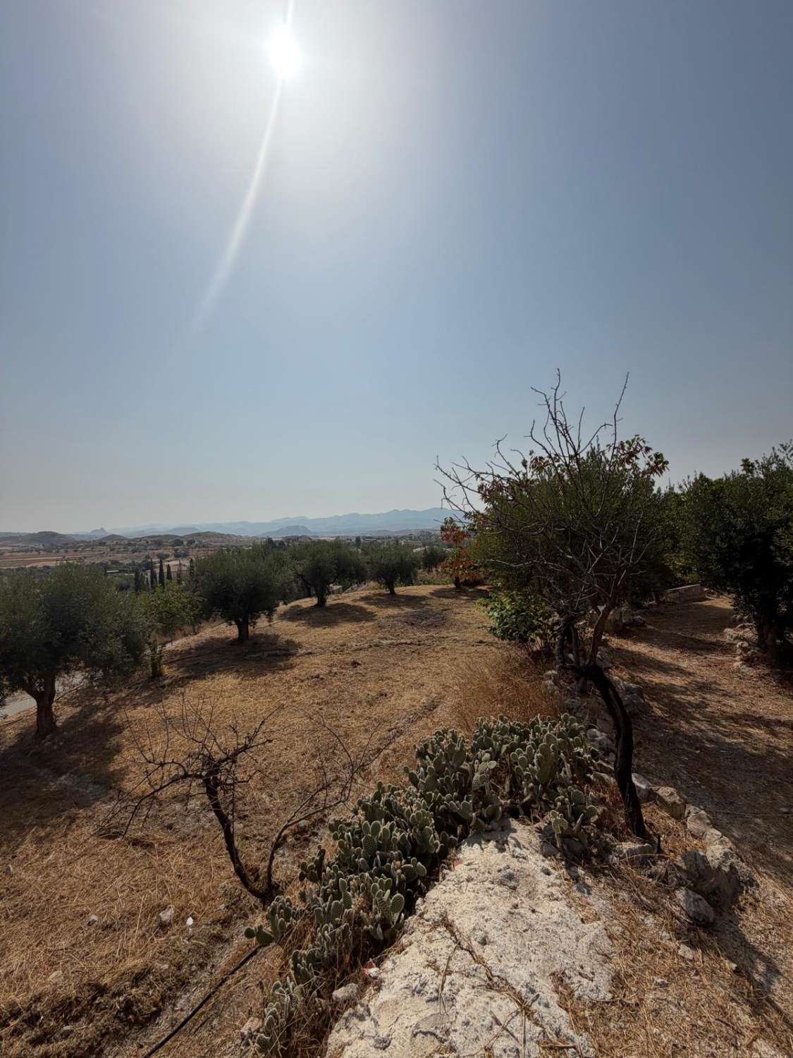 Traditional Spanish Cortijo with Guest Cortijo, Swimming Pool, Extensive Land & Spectacular 360° Mountain Views