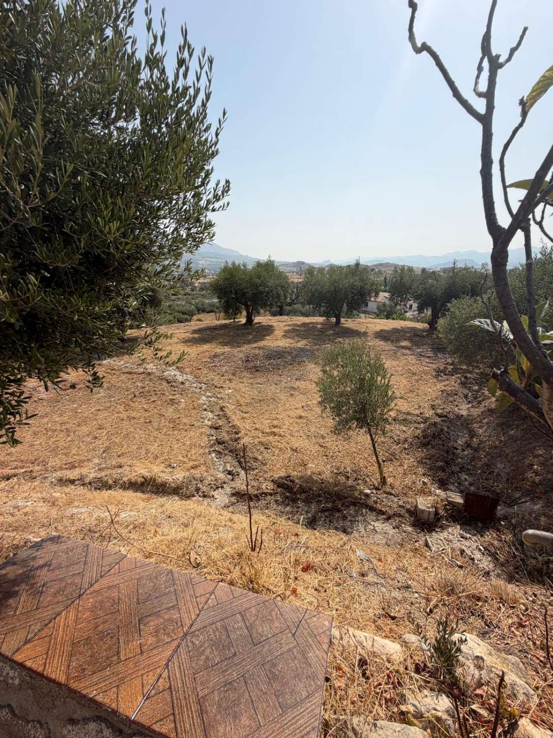 Traditional Spanish Cortijo with Guest Cortijo, Swimming Pool, Extensive Land & Spectacular 360° Mountain Views