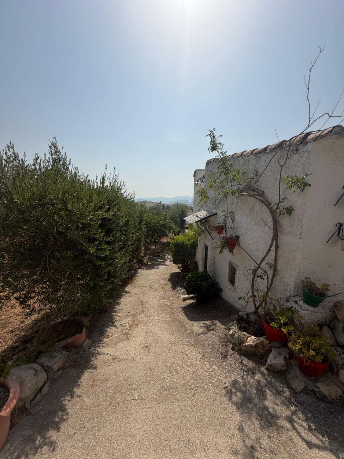 Traditional Spanish Cortijo with Guest Cortijo, Swimming Pool, Extensive Land & Spectacular 360° Mountain Views
