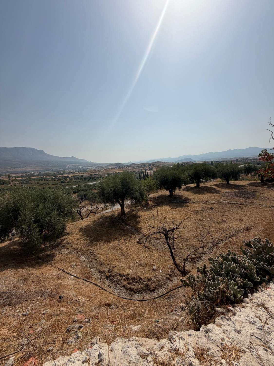 Traditional Spanish Cortijo with Guest Cortijo, Swimming Pool, Extensive Land & Spectacular 360° Mountain Views
