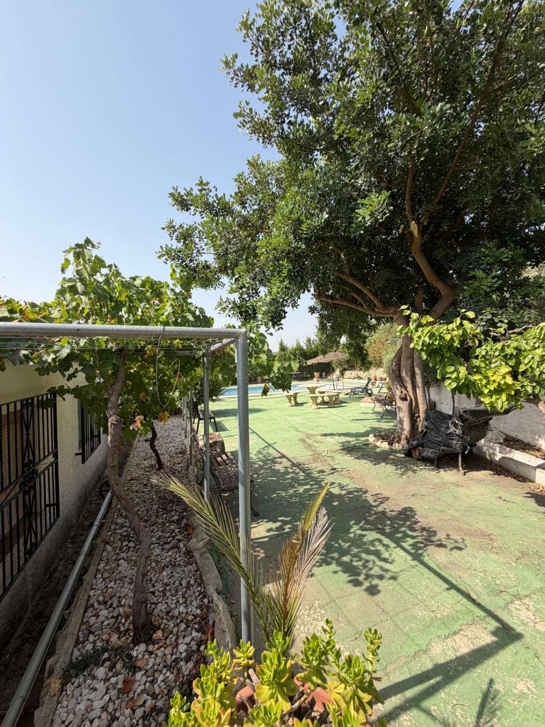 Traditional Spanish Cortijo with Guest Cortijo, Swimming Pool, Extensive Land & Spectacular 360° Mountain Views