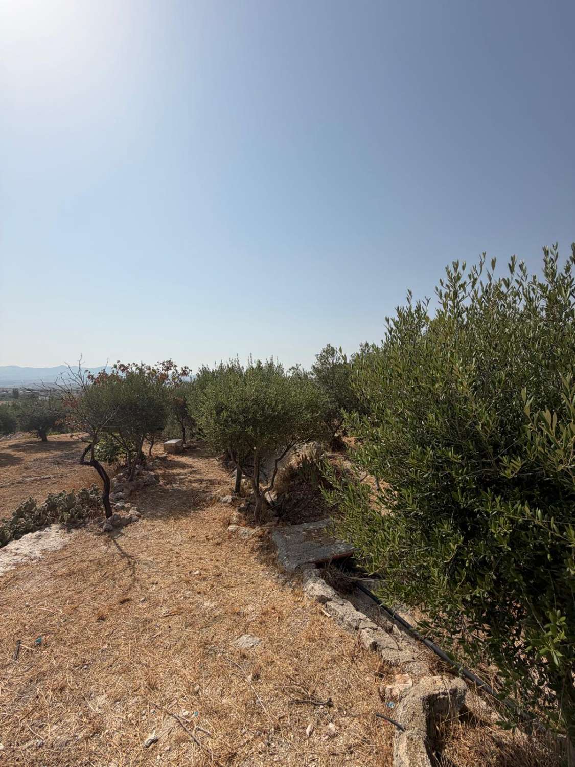 Traditional Spanish Cortijo with Guest Cortijo, Swimming Pool, Extensive Land & Spectacular 360° Mountain Views