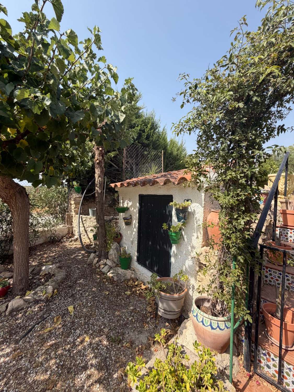 Traditional Spanish Cortijo with Guest Cortijo, Swimming Pool, Extensive Land & Spectacular 360° Mountain Views