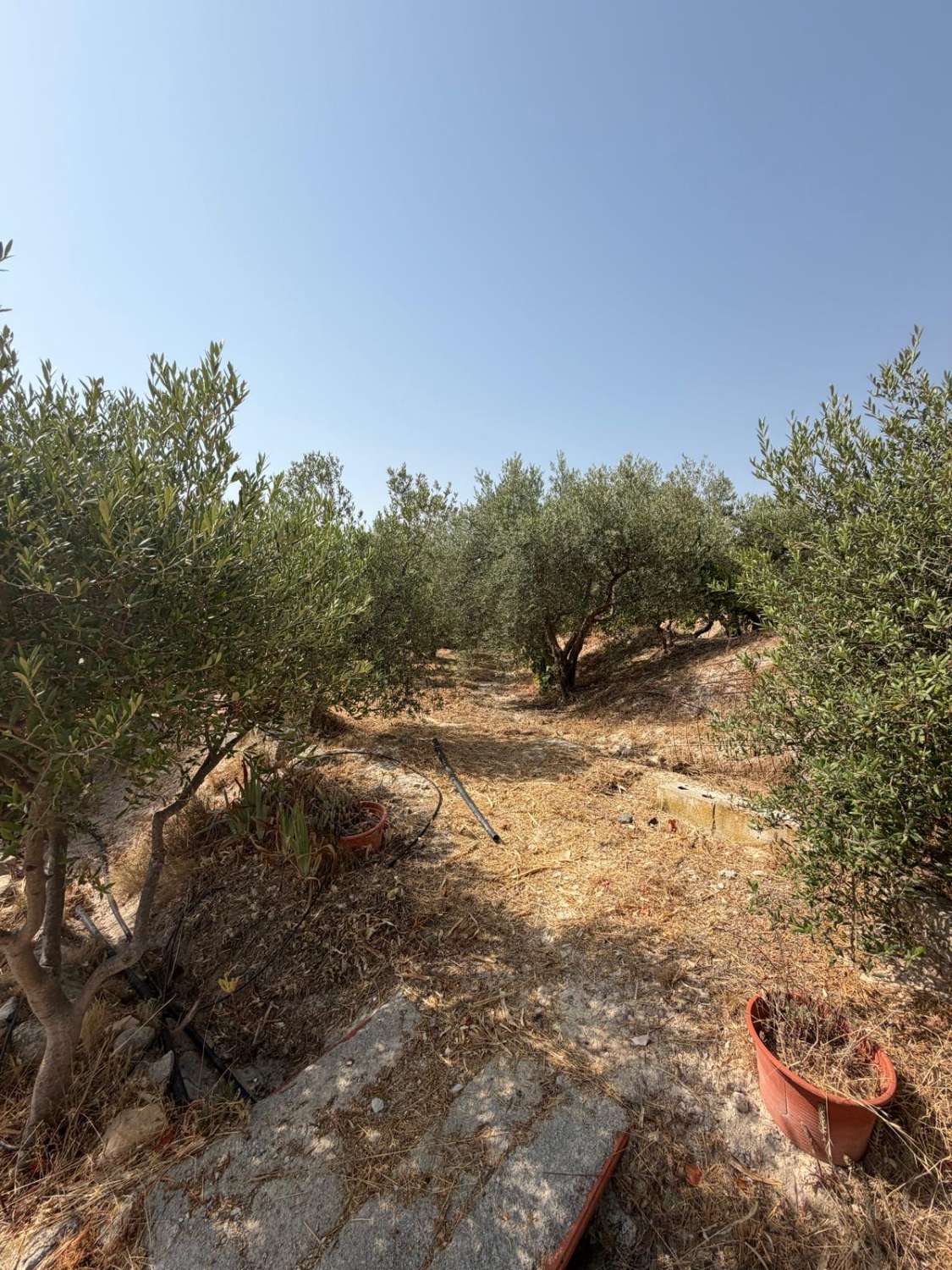 Traditional Spanish Cortijo with Guest Cortijo, Swimming Pool, Extensive Land & Spectacular 360° Mountain Views
