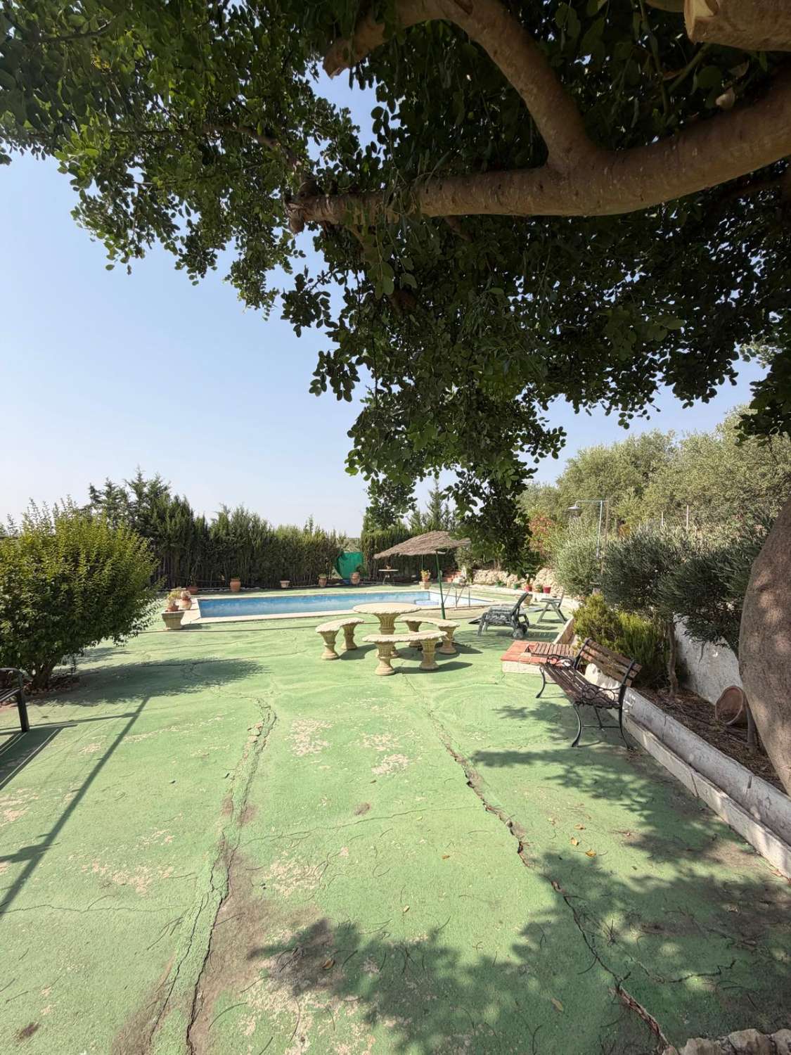 Traditional Spanish Cortijo with Guest Cortijo, Swimming Pool, Extensive Land & Spectacular 360° Mountain Views