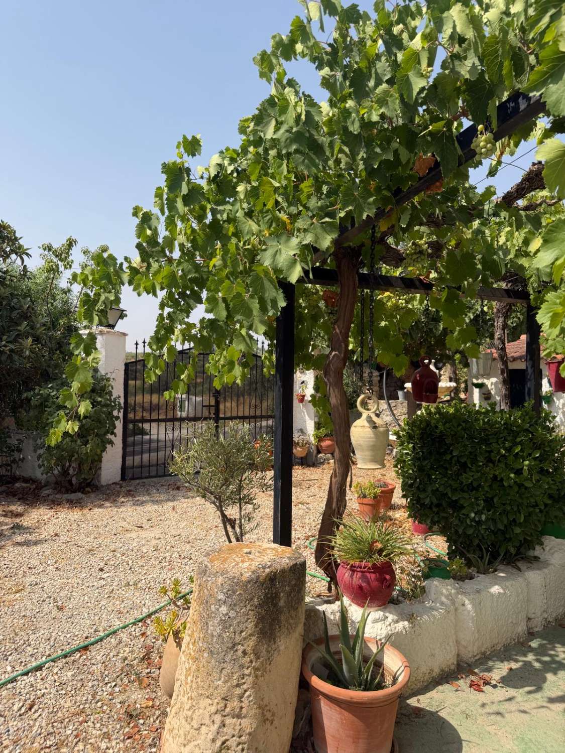 Traditional Spanish Cortijo with Guest Cortijo, Swimming Pool, Extensive Land & Spectacular 360° Mountain Views