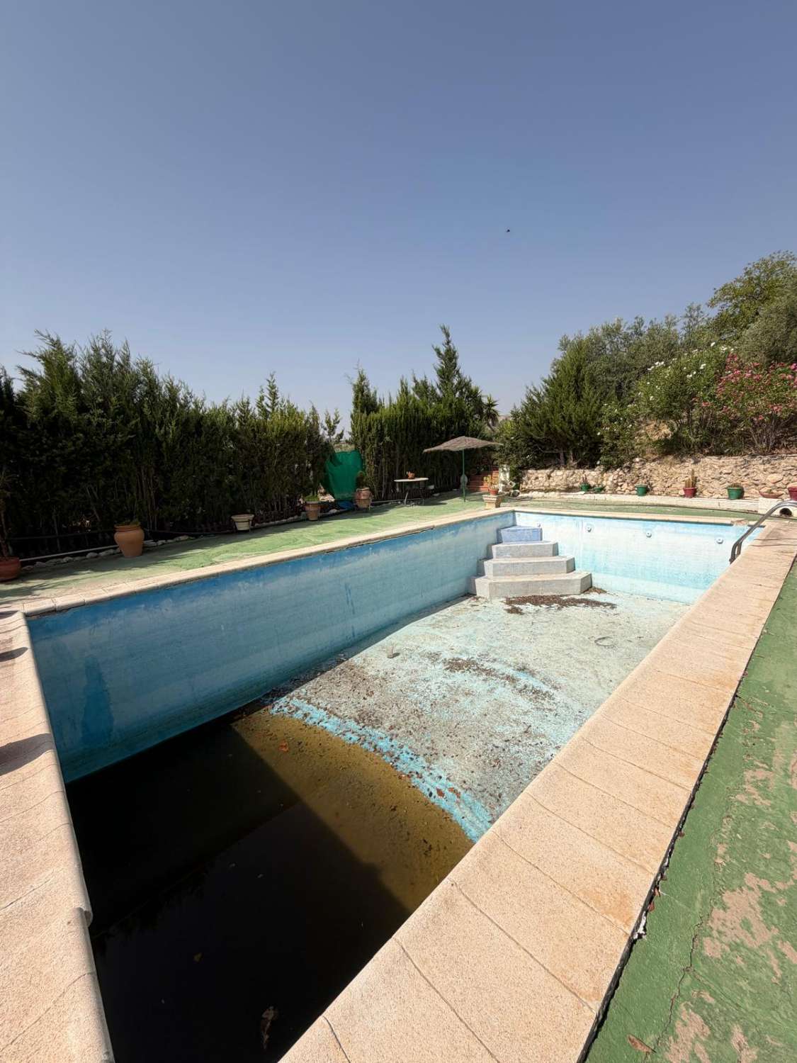 Traditional Spanish Cortijo with Guest Cortijo, Swimming Pool, Extensive Land & Spectacular 360° Mountain Views