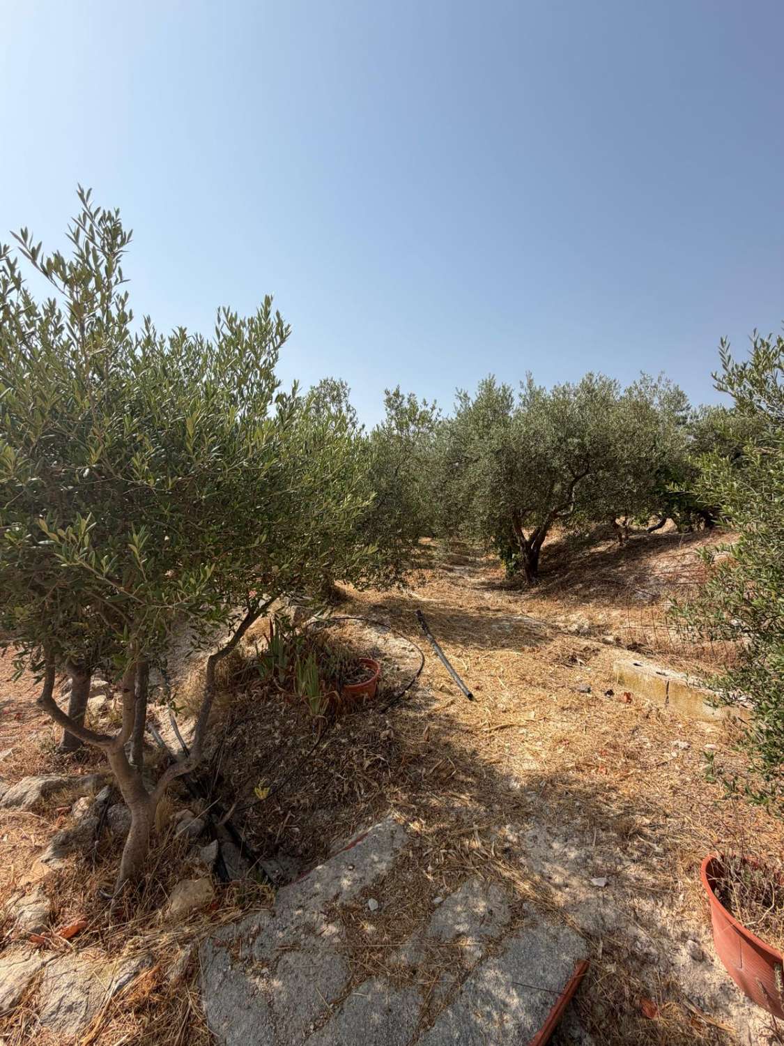 Traditional Spanish Cortijo with Guest Cortijo, Swimming Pool, Extensive Land & Spectacular 360° Mountain Views