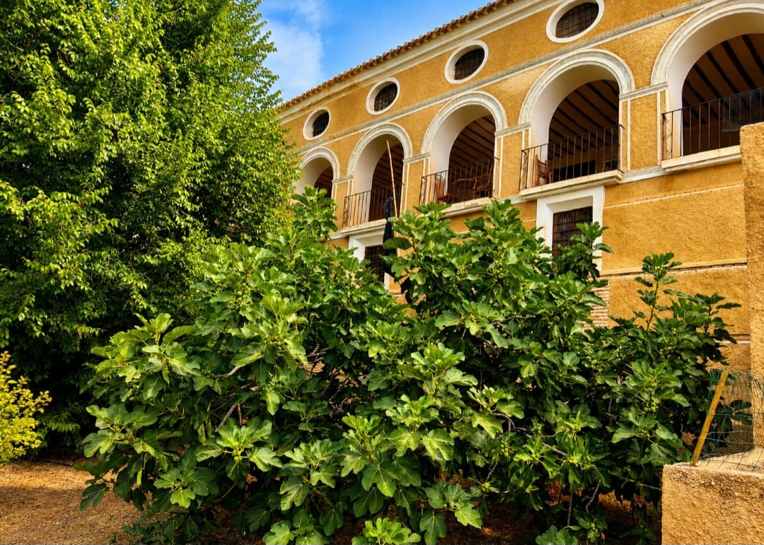 Exceptional Historic Residence in Vélez Blanco