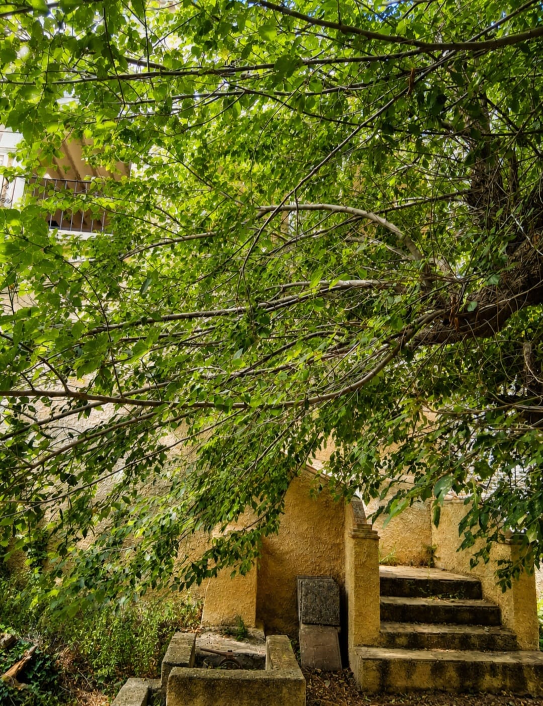 Exceptional Historic Residence in Vélez Blanco