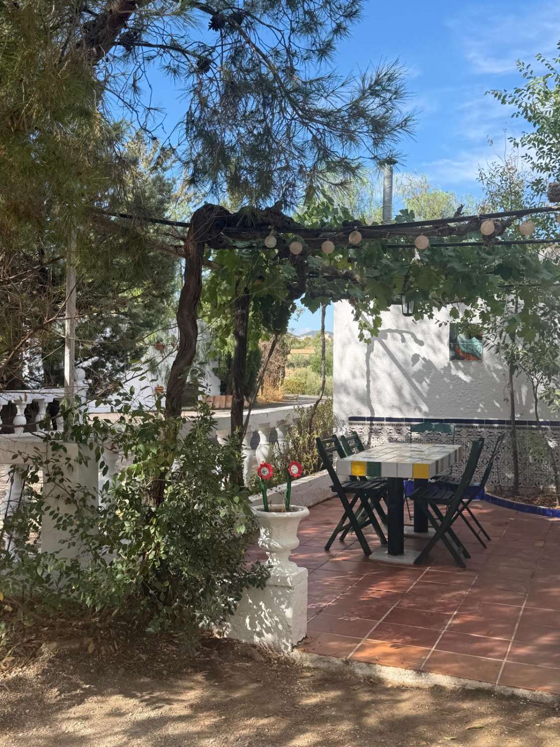 Cortijo traditionnel impeccable avec licence touristique, piscine privée, vaste terrain et vue imprenable sur les montagnes – Vélez Rubio