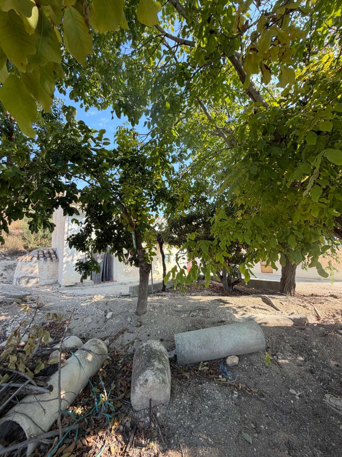 Traditional Spanish Cortijo with Exceptional 360° Views & 25,861m² of Land – A Property Full of Potential