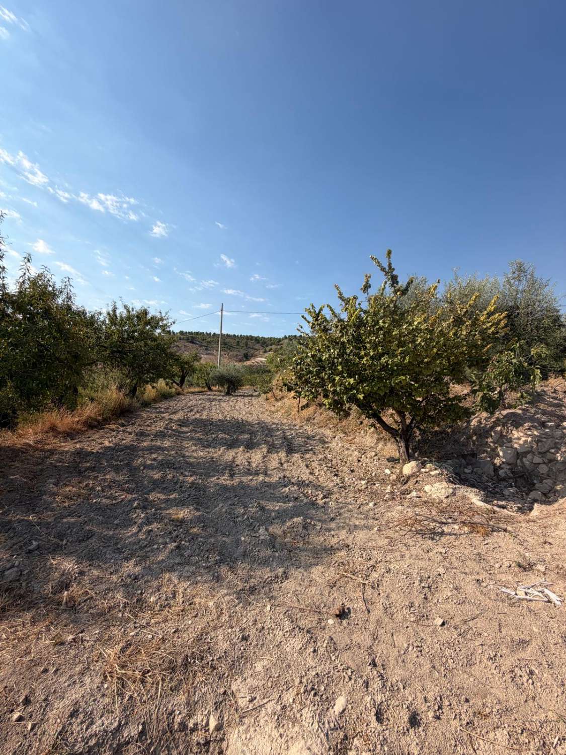 Traditional Spanish Cortijo with Exceptional 360° Views & 25,861m² of Land – A Property Full of Potential