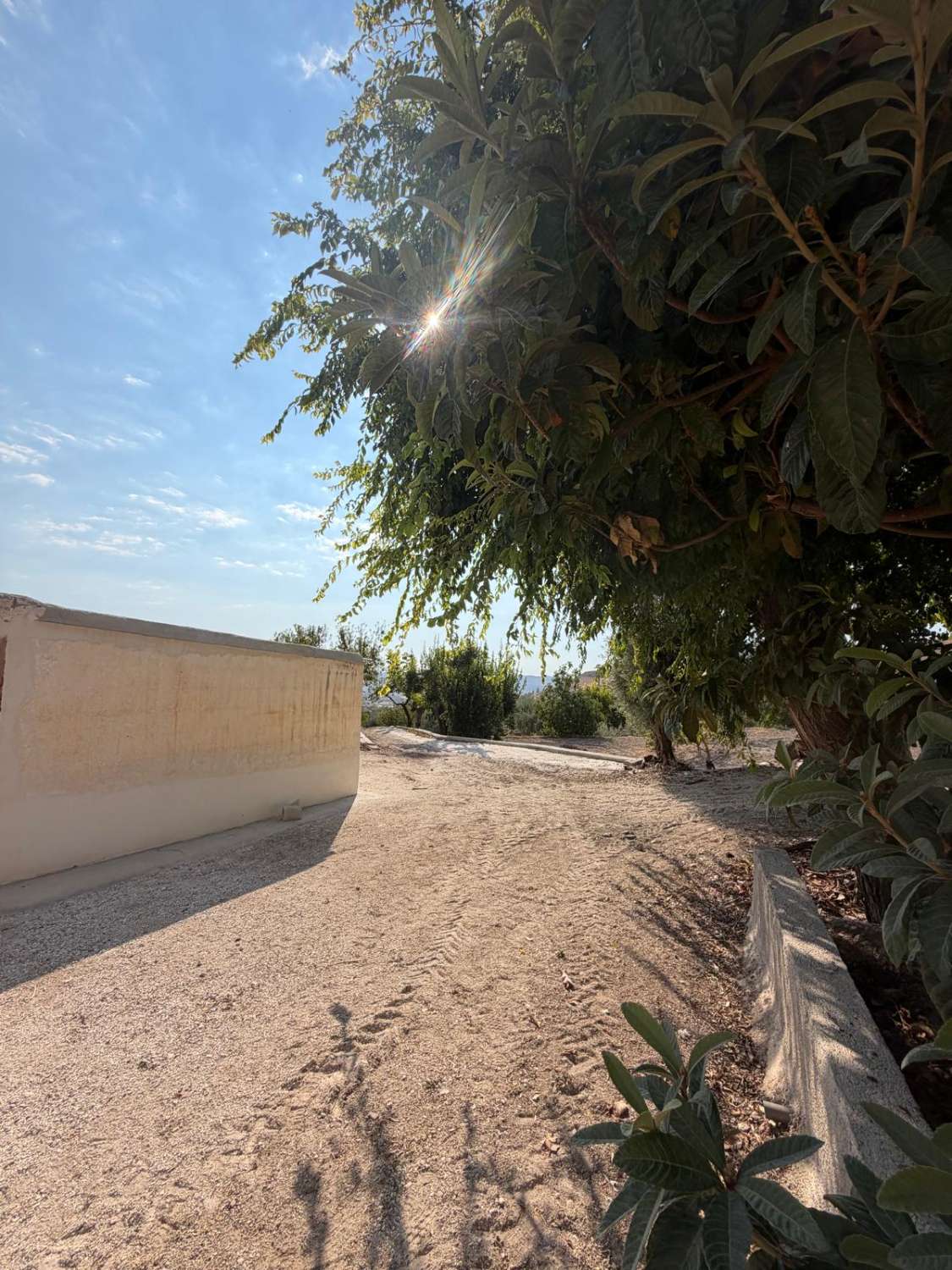 Traditional Spanish Cortijo with Exceptional 360° Views & 25,861m² of Land – A Property Full of Potential