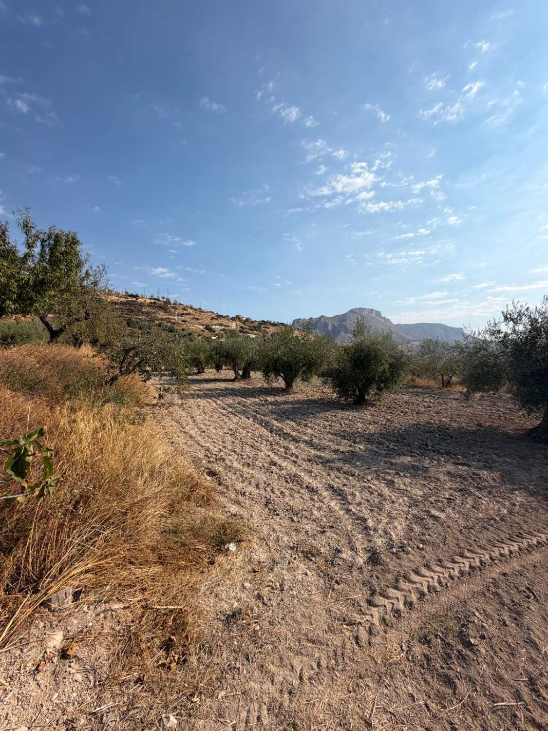 Traditional Spanish Cortijo with Exceptional 360° Views & 25,861m² of Land – A Property Full of Potential