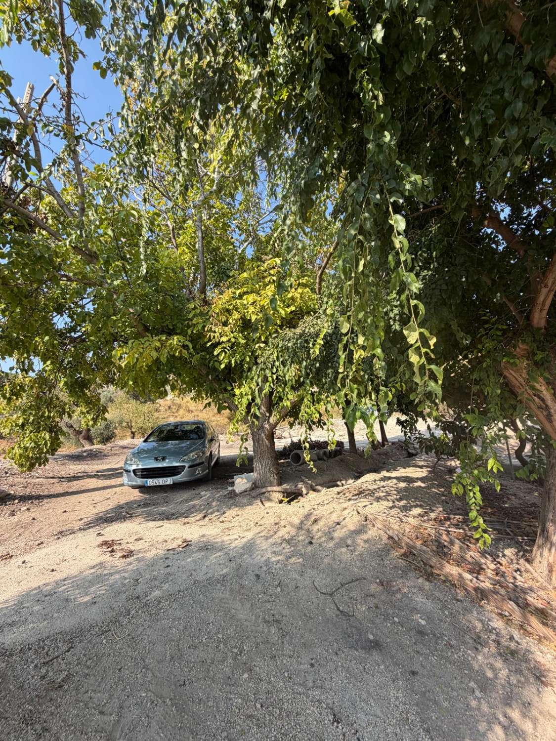 Traditional Spanish Cortijo with Exceptional 360° Views & 25,861m² of Land – A Property Full of Potential