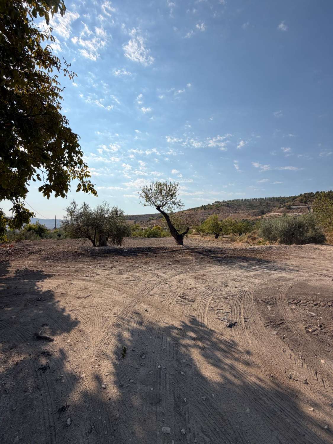 Traditional Spanish Cortijo with Exceptional 360° Views & 25,861m² of Land – A Property Full of Potential