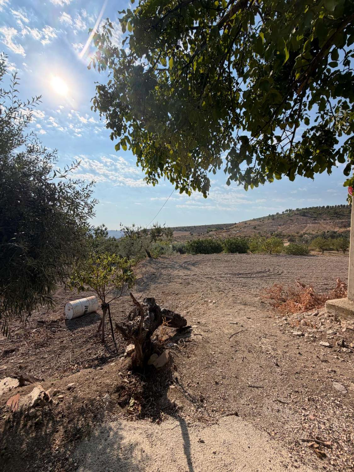 Traditional Spanish Cortijo with Exceptional 360° Views & 25,861m² of Land – A Property Full of Potential