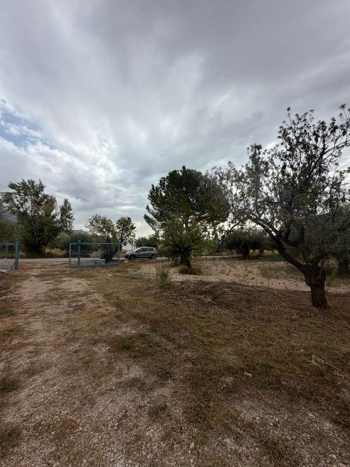 Beautifully Renovated Cortijo with 360° Mountain Views, 13,395m² of Land and Exceptional Potential