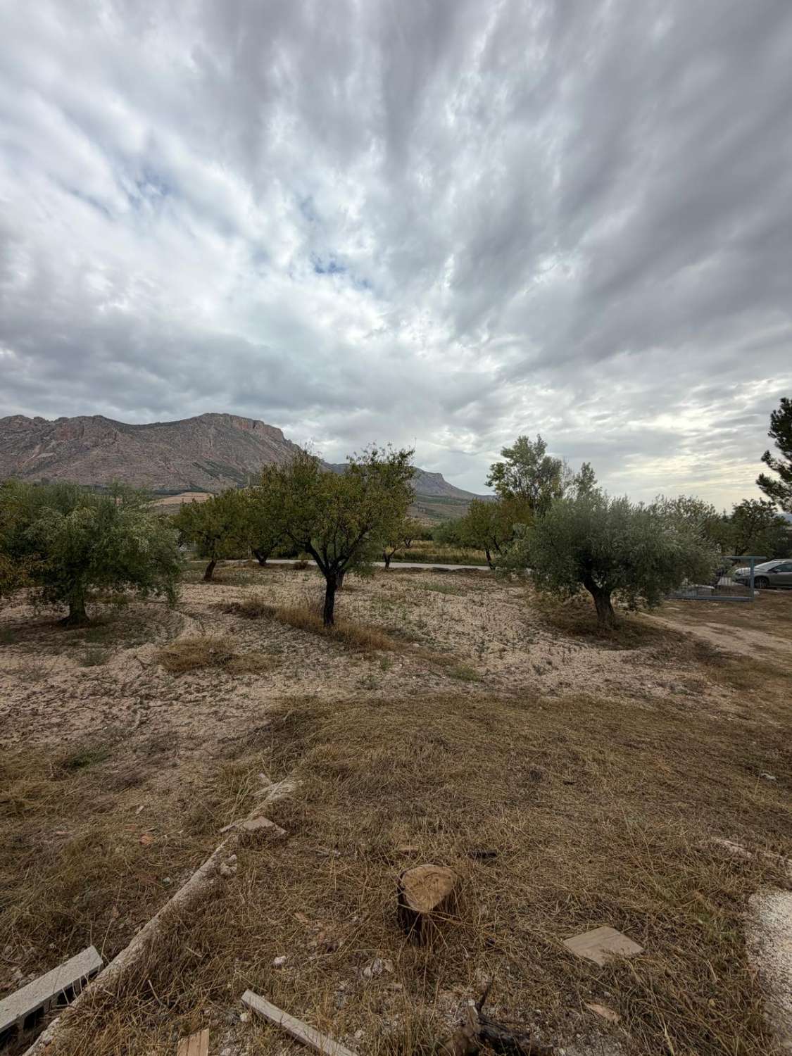 Beautifully Renovated Cortijo with 360° Mountain Views, 13,395m² of Land and Exceptional Potential