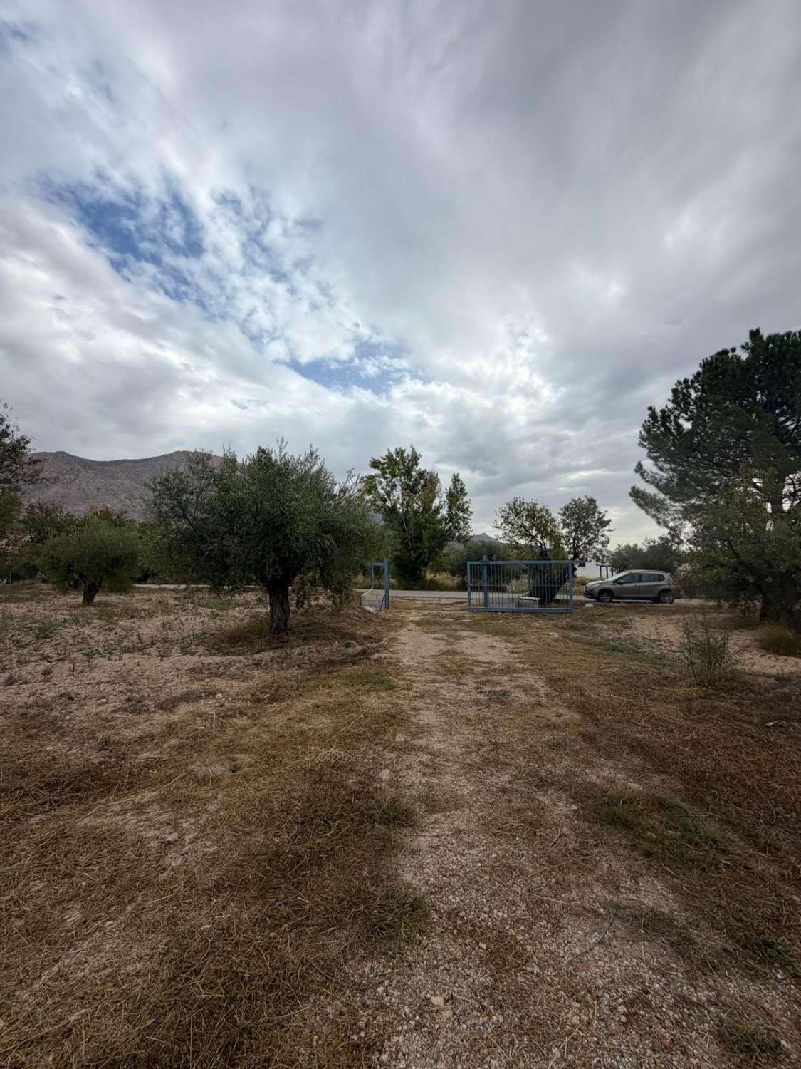 Beautifully Renovated Cortijo with 360° Mountain Views, 13,395m² of Land and Exceptional Potential