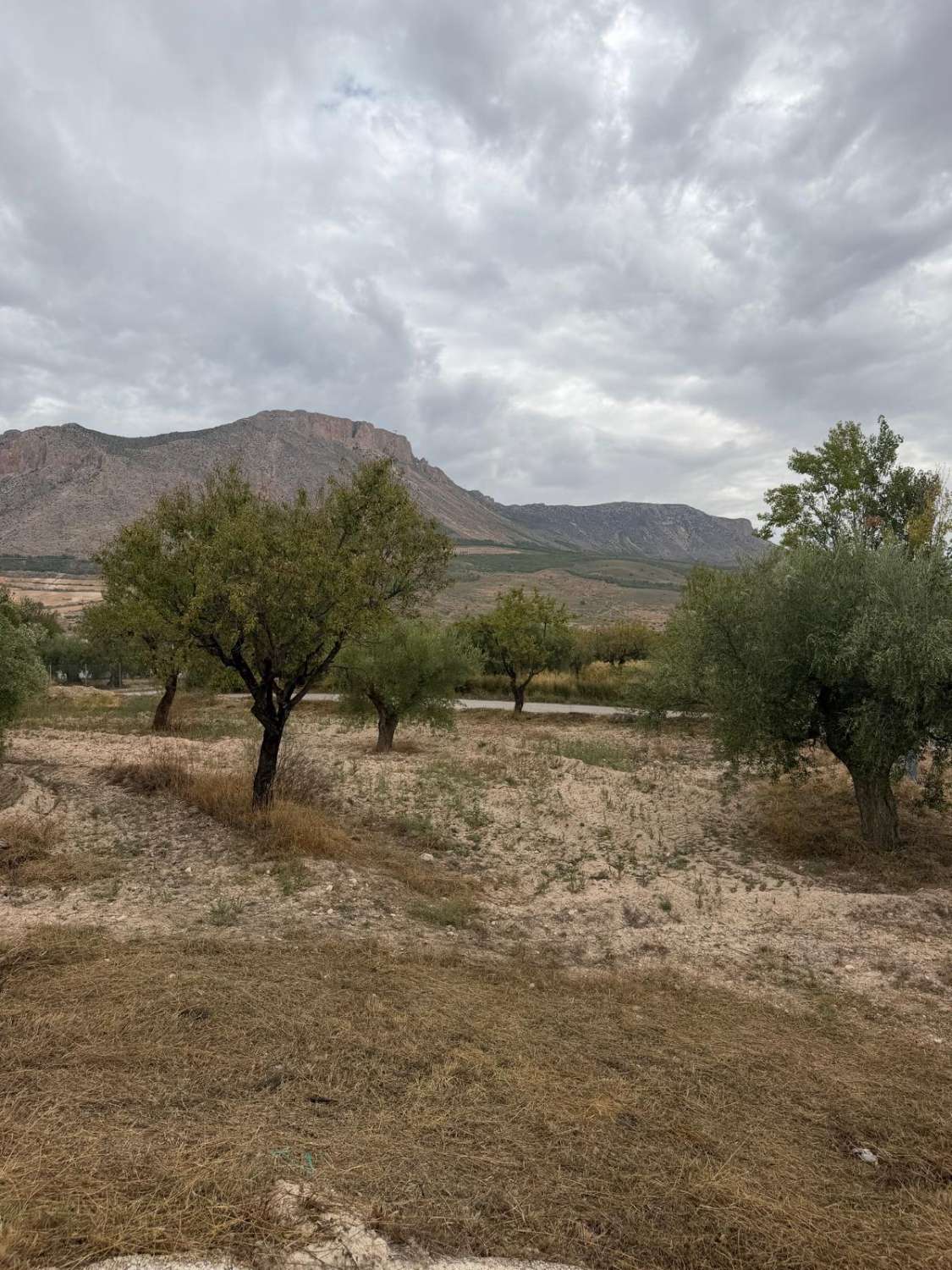 Beautifully Renovated Cortijo with 360° Mountain Views, 13,395m² of Land and Exceptional Potential