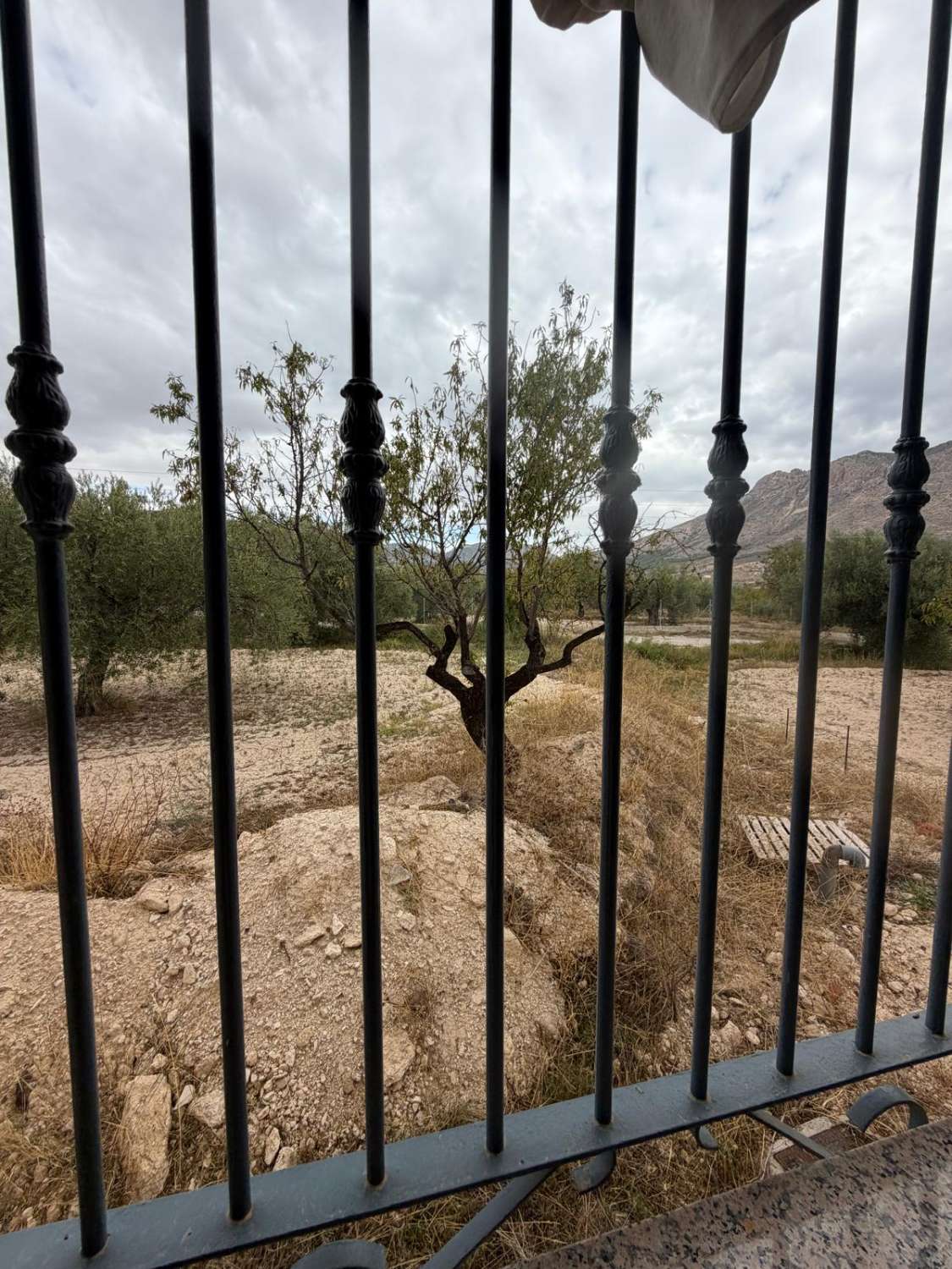 Beautifully Renovated Cortijo with 360° Mountain Views, 13,395m² of Land and Exceptional Potential