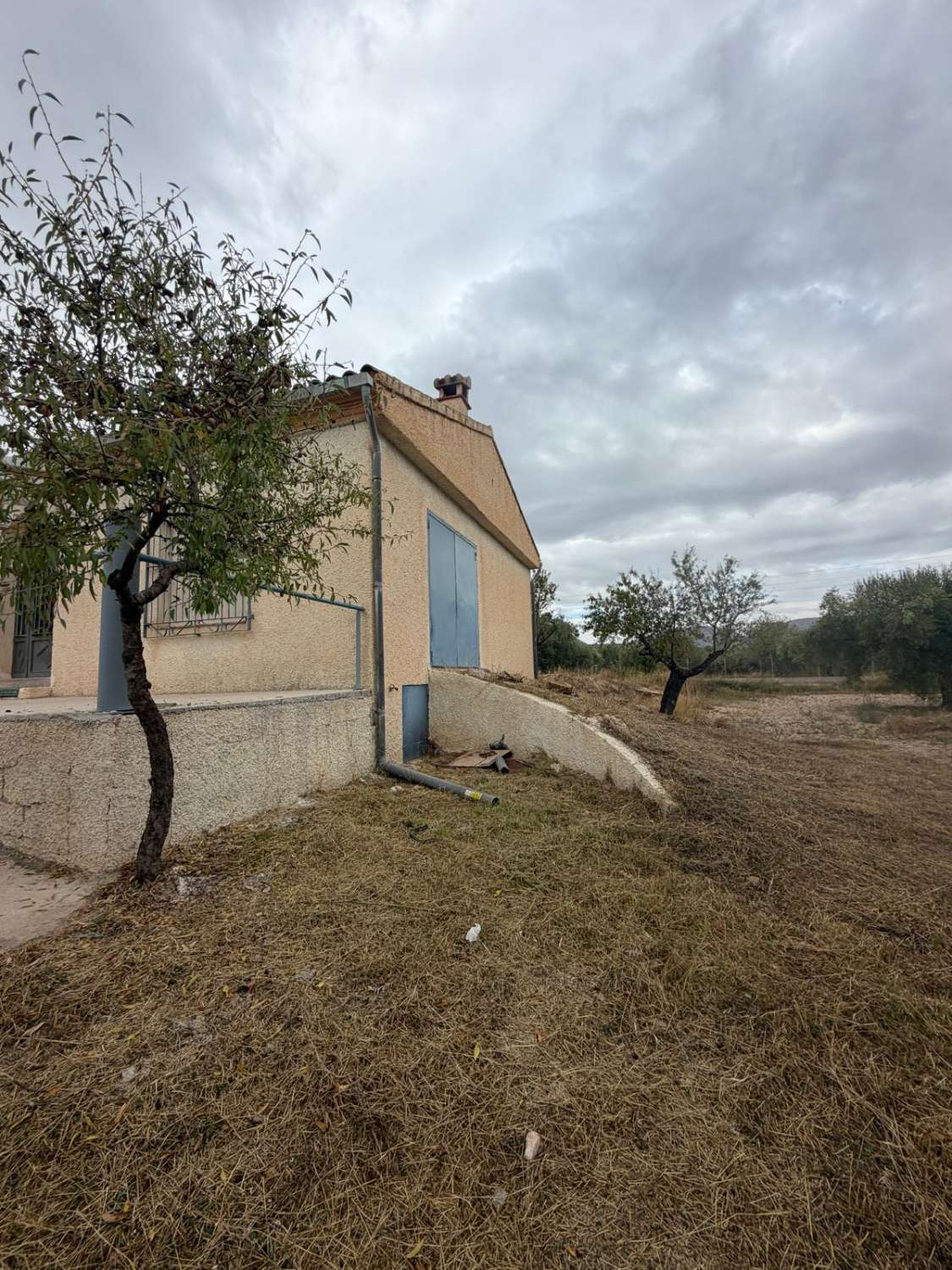 Beautifully Renovated Cortijo with 360° Mountain Views, 13,395m² of Land and Exceptional Potential