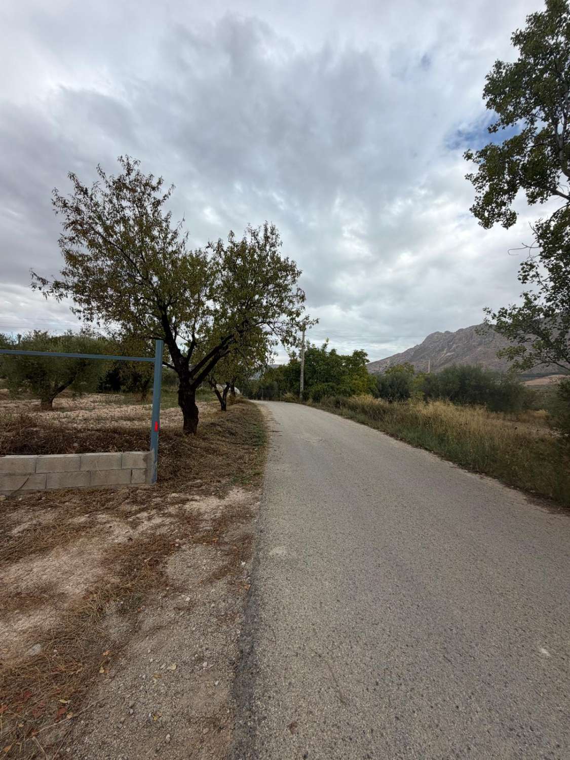 Beautifully Renovated Cortijo with 360° Mountain Views, 13,395m² of Land and Exceptional Potential