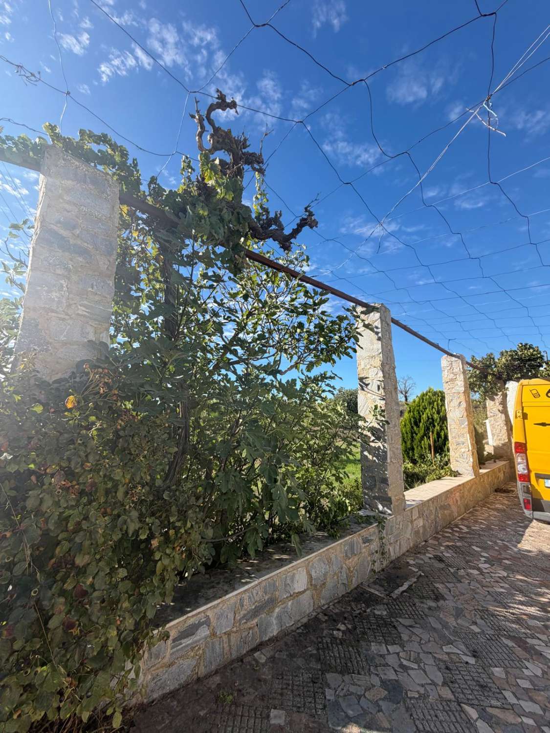 # A Beautifully Renovated 6-Bedroom Old Mill House with Separate Studio, Large Garage, set on a 10,000m² Plot