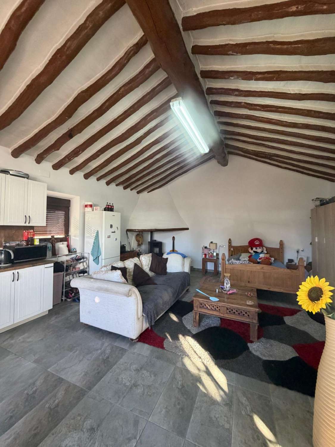 # A Beautifully Renovated 6-Bedroom Old Mill House with Separate Studio, Large Garage, set on a 10,000m² Plot